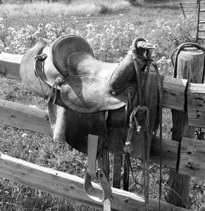 7 Diamond Ranch old saddle